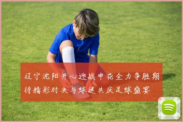 辽宁沈阳开心迎战申花全力争胜期待精彩对决与球迷共庆足球盛宴