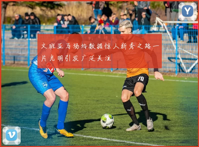 文班亚马场均数据惊人新秀之路一片光明引发广泛关注