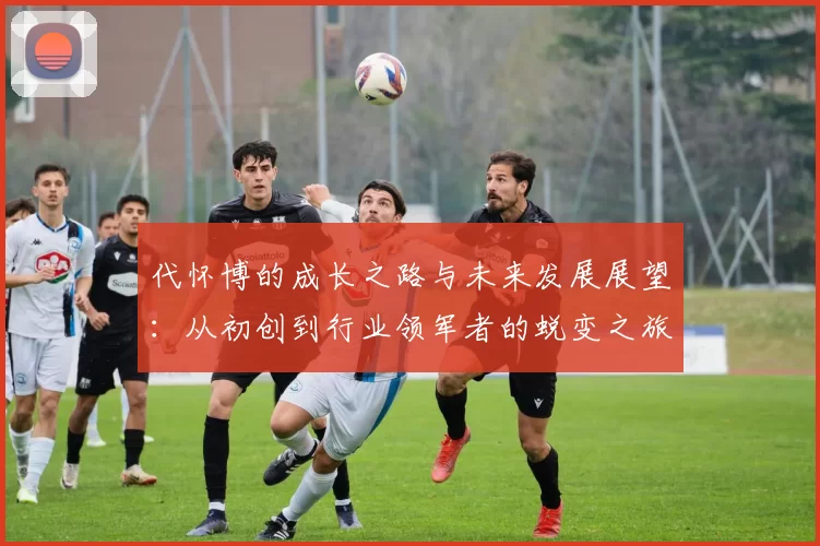 代怀博的成长之路与未来发展展望：从初创到行业领军者的蜕变之旅